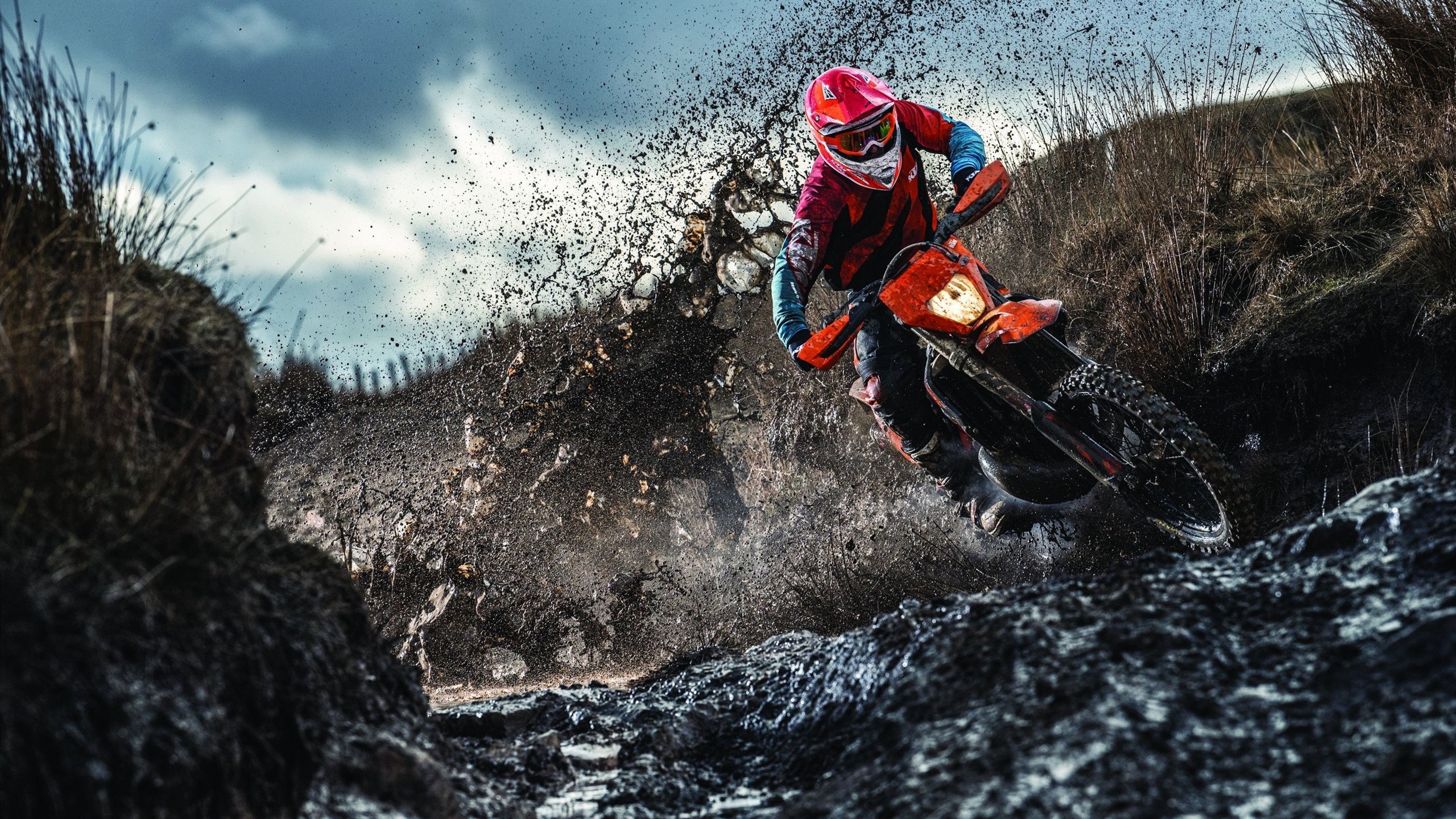 争夺最后一席,谁能逆转成功?,争取最后的胜利话剧